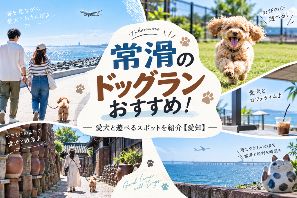 常滑のドッグランおすすめ!愛犬と遊べるスポットを紹介【愛知】