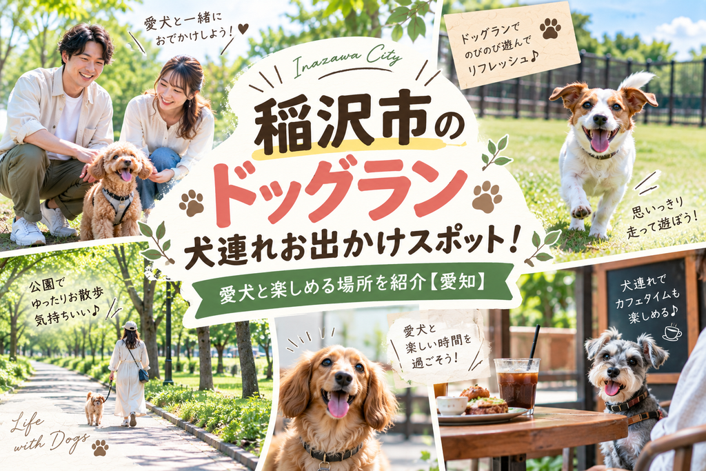 稲沢市のドッグラン犬連れお出かけスポット!愛犬と楽しめる場所を紹介【愛知】