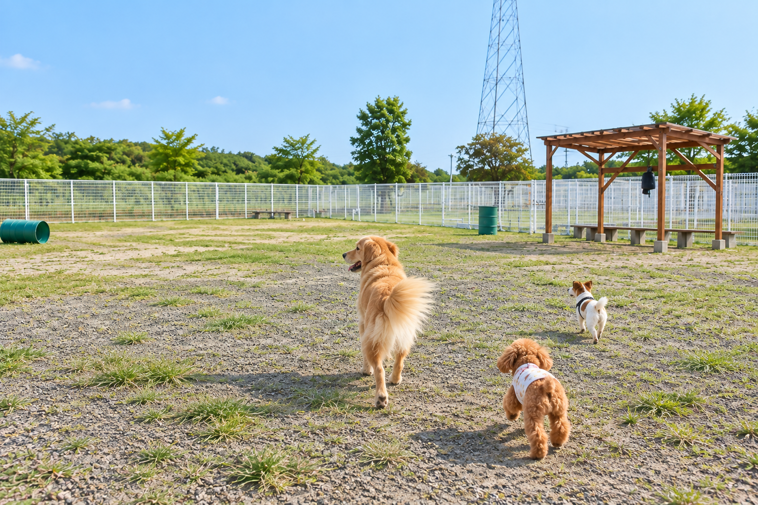 AJ Dog Community Club｜弥富市の犬連れお出かけスポット