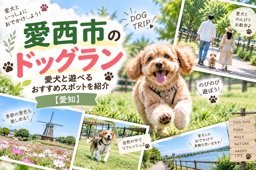 愛西市のドッグラン愛犬と遊べるおすすめスポットを紹介【愛知】