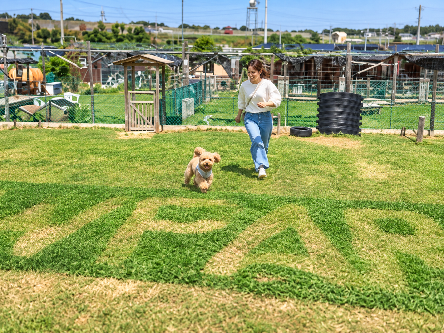 Dog Field Wowpark 腕白わんパーク