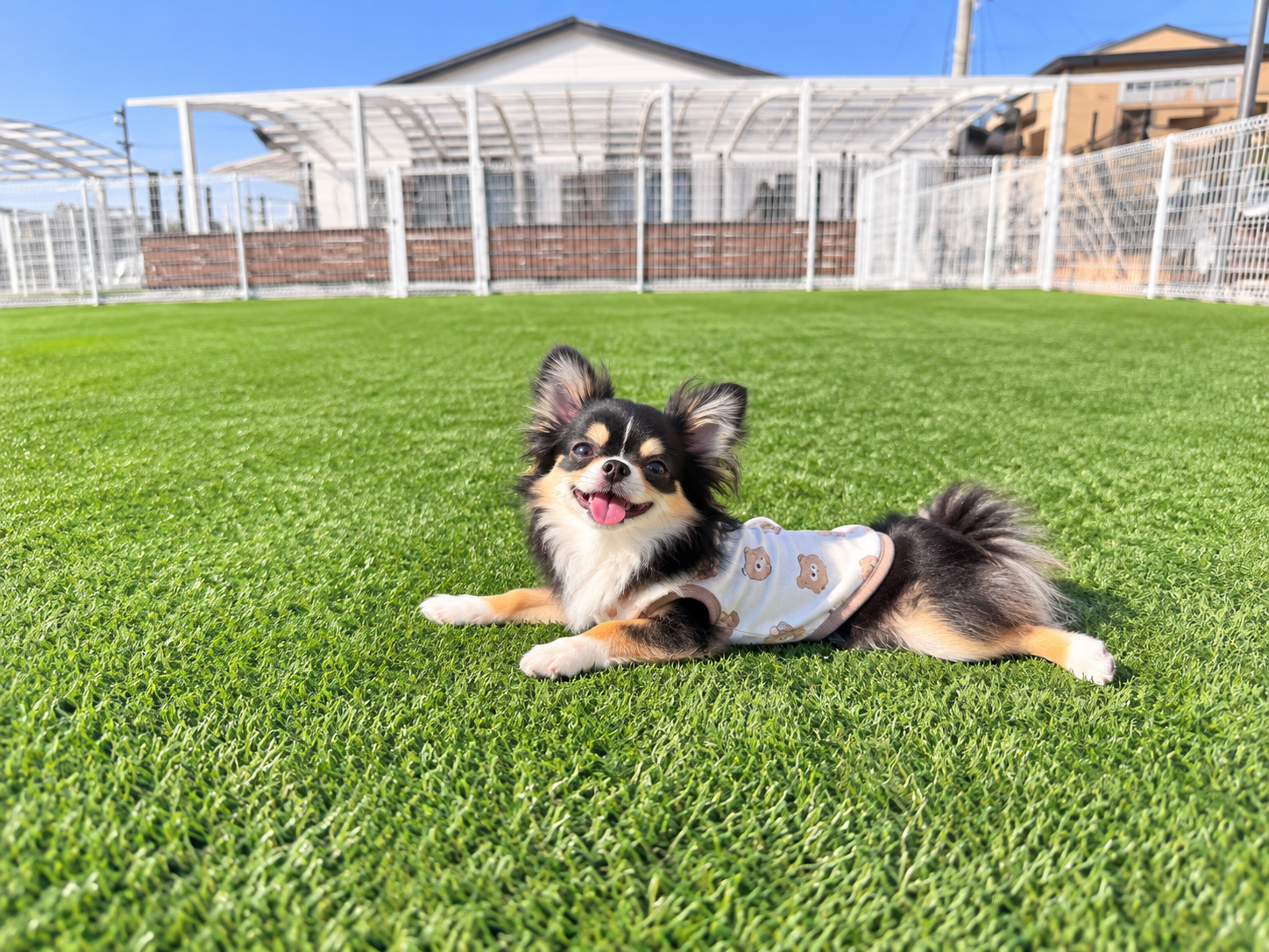 S&S.a Dog Cafe（エスエスエードッグカフェ）の施設イメージ