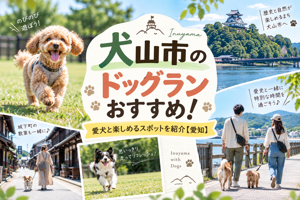 犬山市のドッグランおすすめ!愛犬と楽しめるスポットを紹介【愛知】