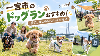 一宮市のドッグランおすすめ！愛犬と楽しめるスポットを紹介【愛知】
