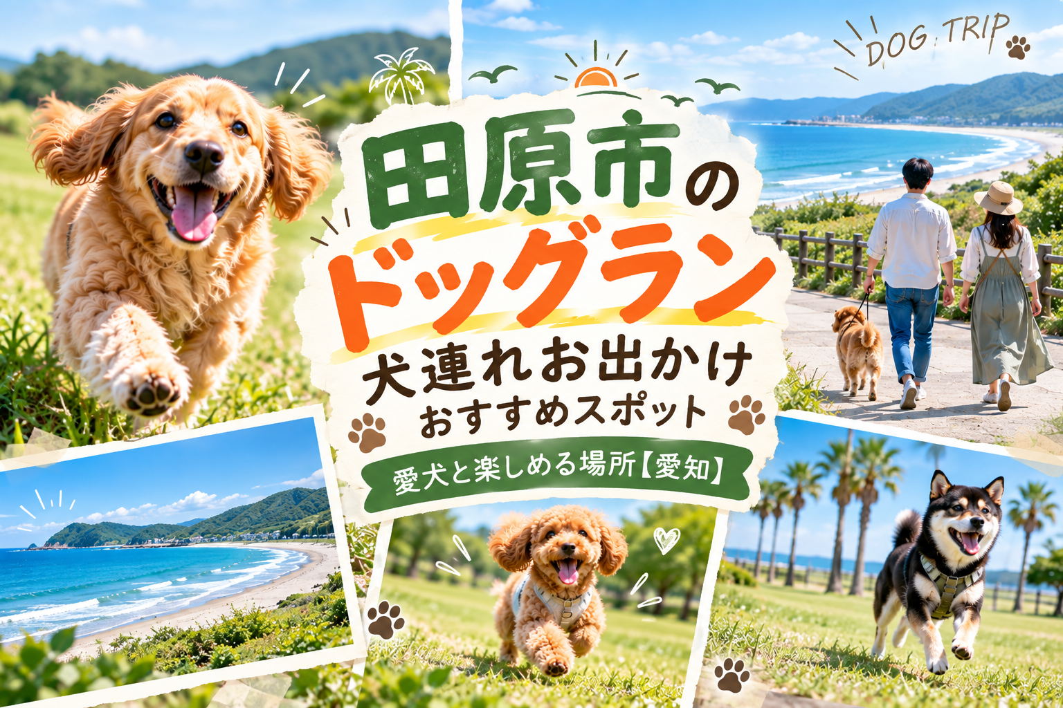 田原市のドッグラン犬連れお出かけおすすめスポット愛犬と楽しめる場所【愛知】