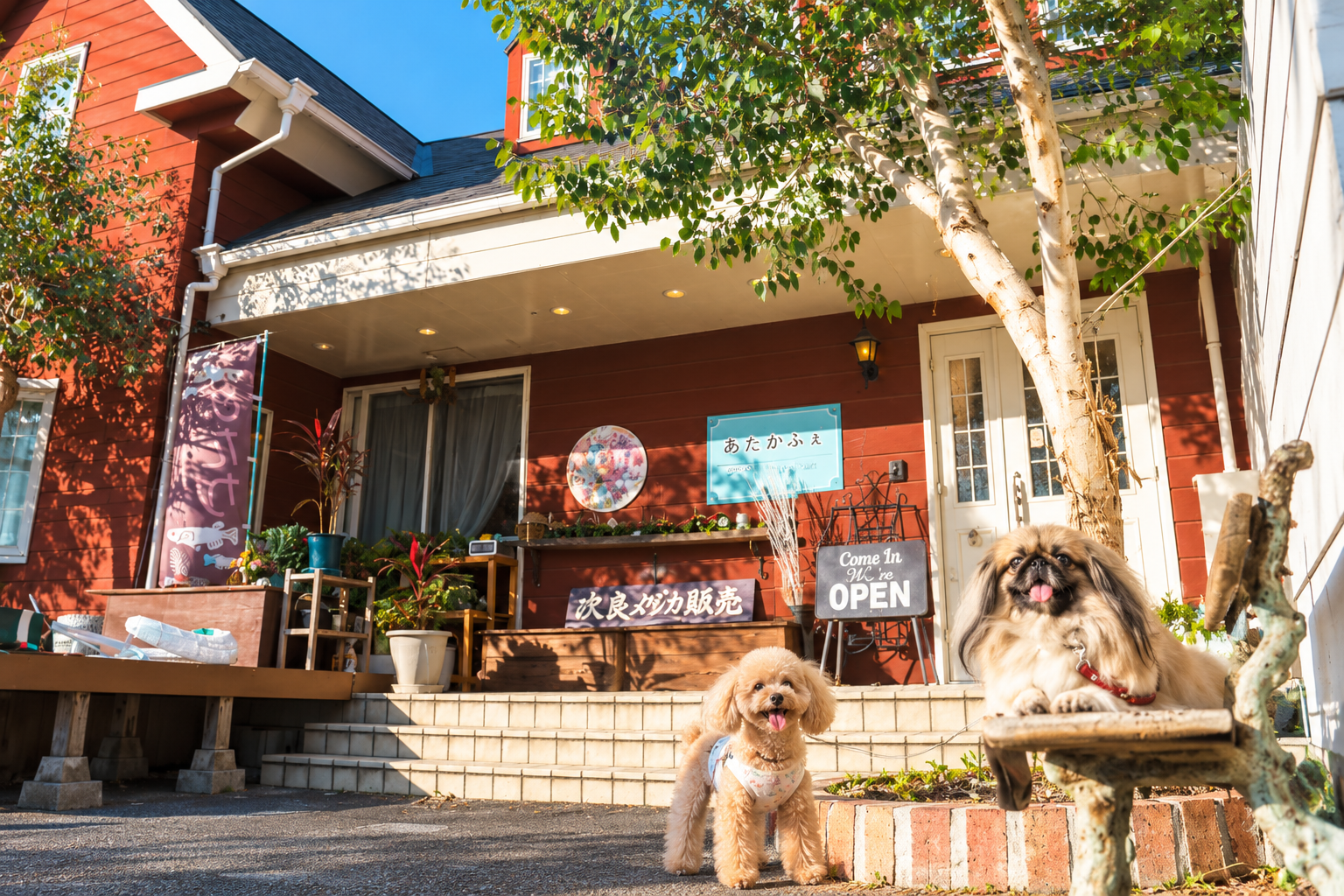 めだかふぇ｜弥富市の愛犬と店内で過ごせる犬連れカフェ