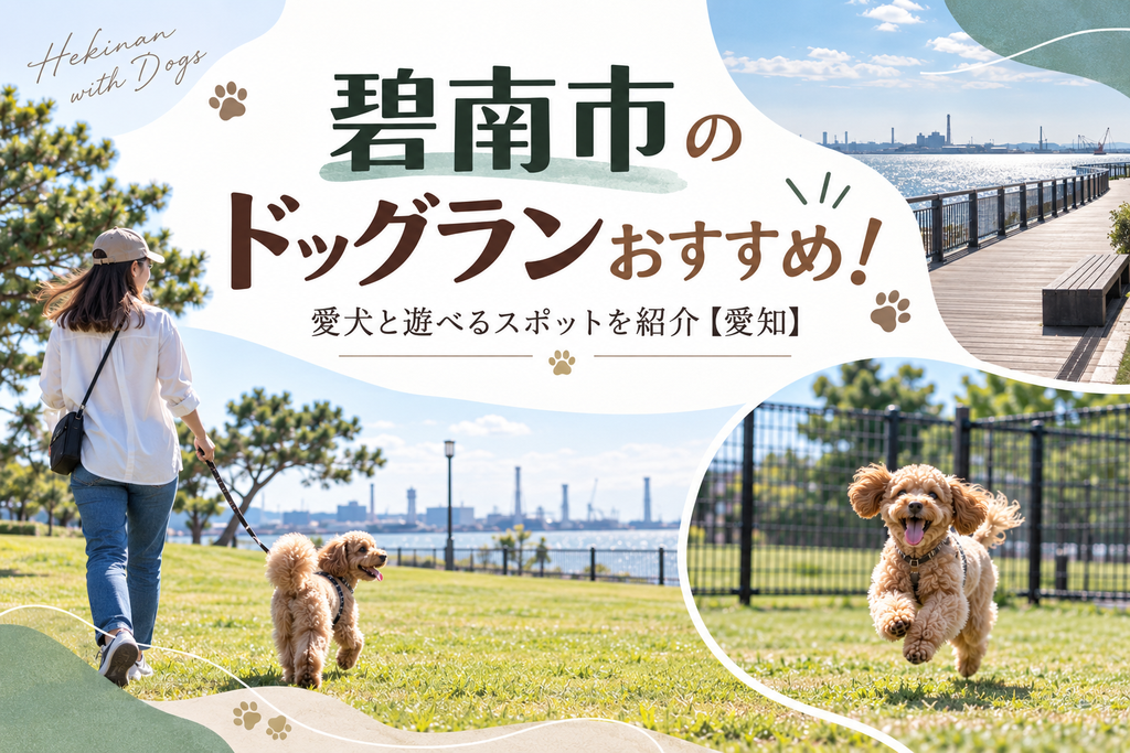 碧南市のドッグランおすすめ!愛犬と遊べるスポットを紹介【愛知】