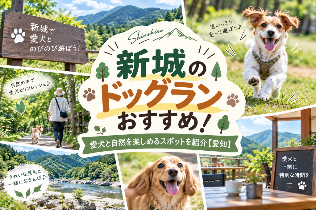 新城のドッグランおすすめ!愛犬と自然を楽しめるスポットを紹介【愛知】