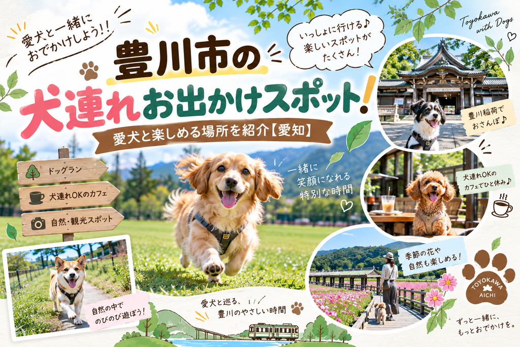 豊川市の犬連れお出かけスポット！愛犬と楽しめる場所を紹介【愛知】