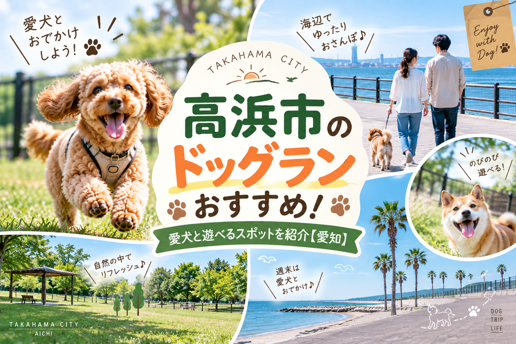 高浜市のドッグランおすすめ!愛犬と遊べるスポットを紹介【愛知】