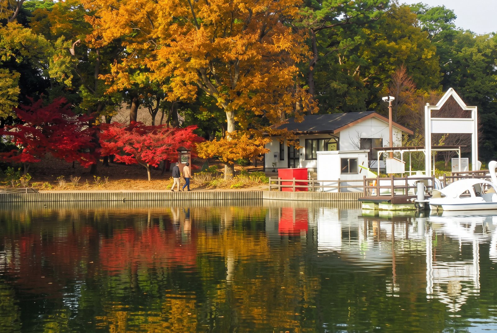 豊橋市ののんほいパークで、紅葉が水面に映る池のほとりを歩く人の秋の風景