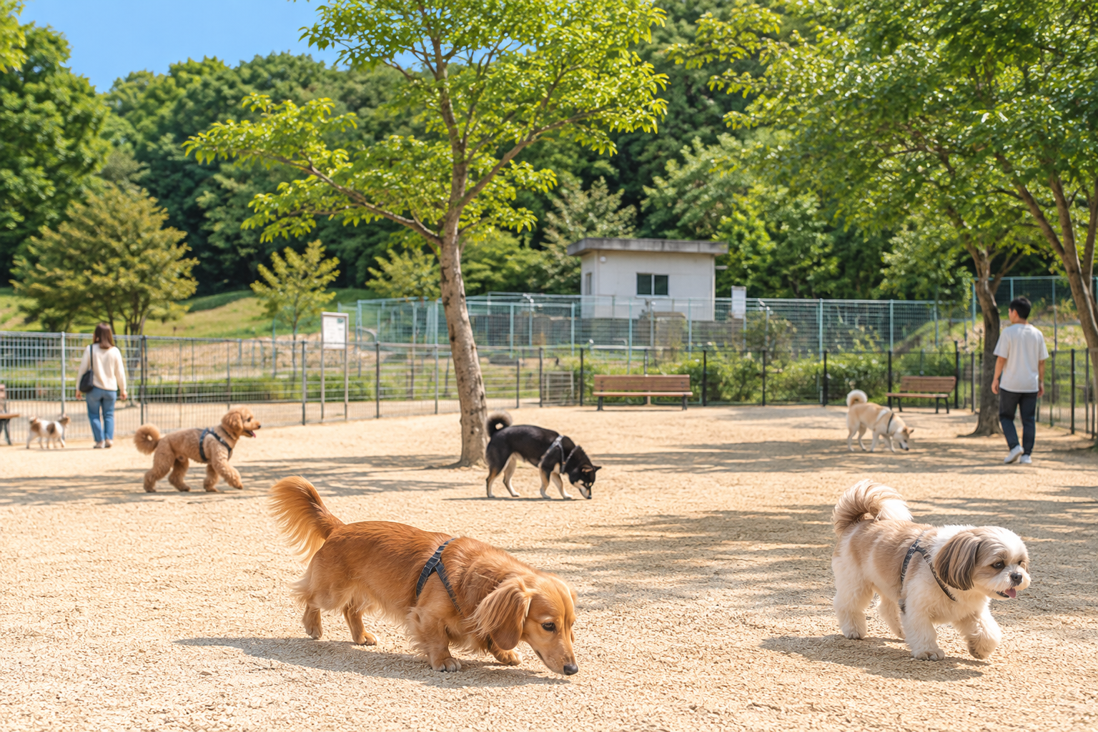 ② 大高緑地ドッグラン