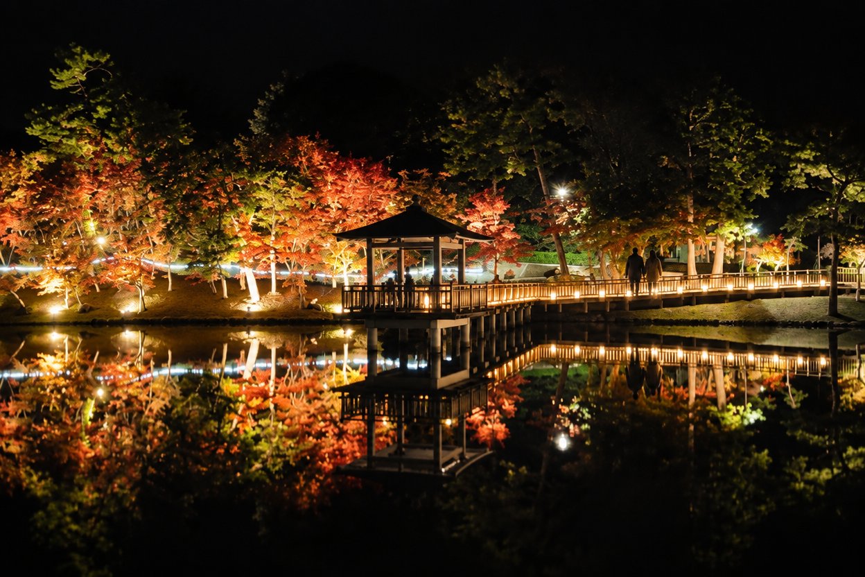 岡崎市の東公園で、ライトアップされた紅葉が池に映る中、橋を歩く人の秋の夜景