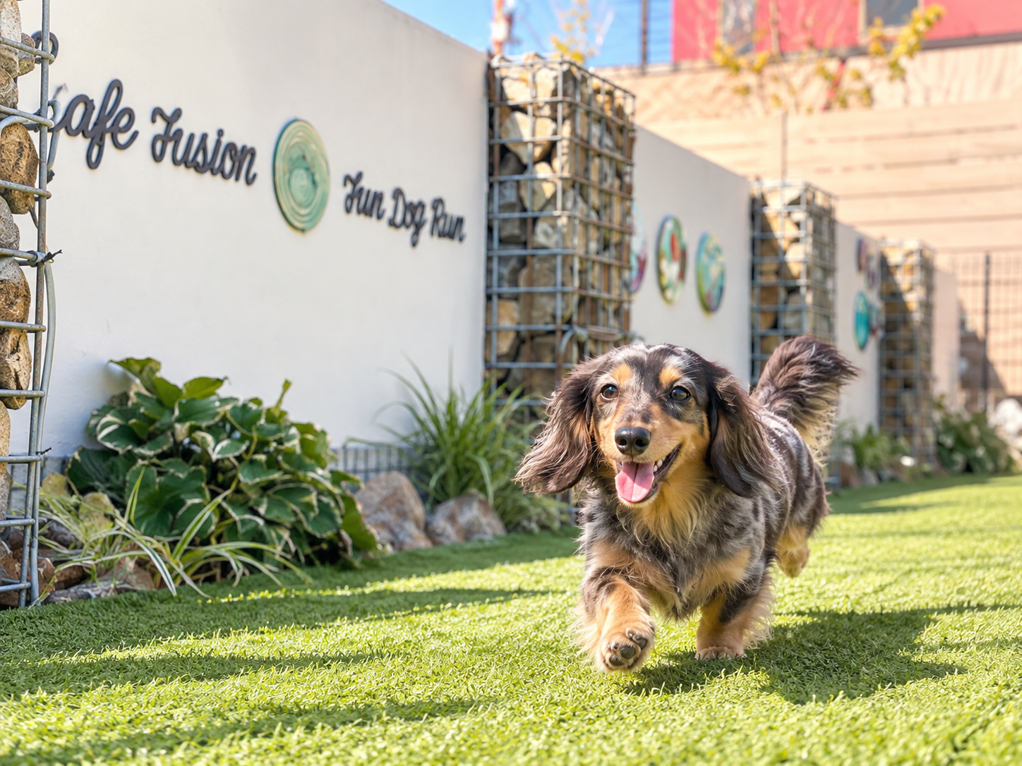 Cafe Fusion 豊川店（FUN DOG RUN）