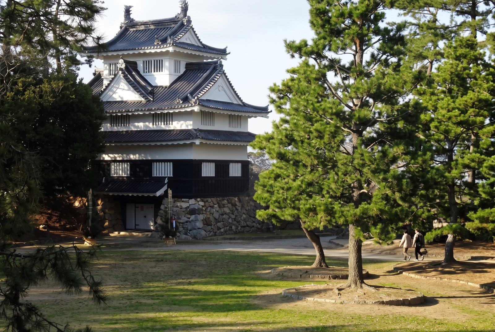 豊橋市の豊橋公園で、吉田城の櫓と松の木を眺めながら芝生を歩く人の風景